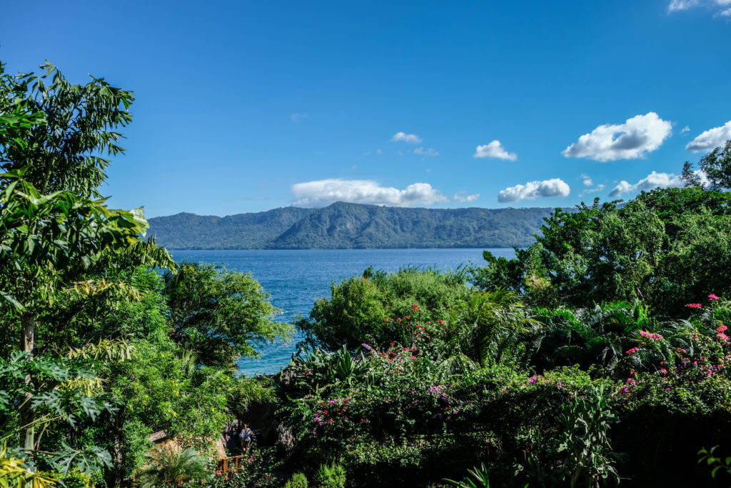 View of Laguna de Apoyo through the trees