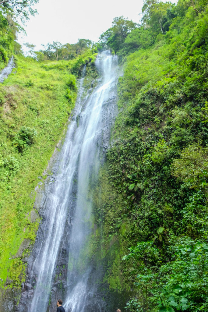 Vertical image of the San Ramon Waterfall