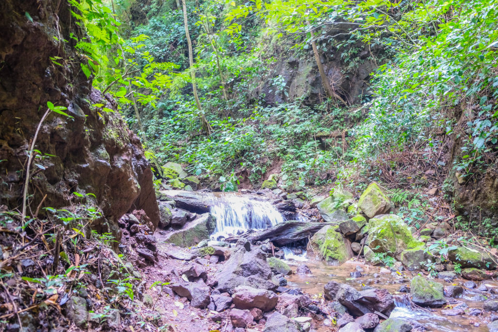 The canyon on the trail