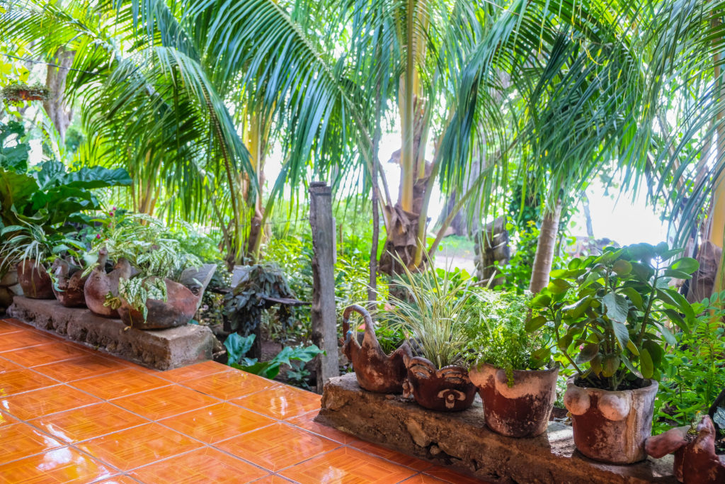 The patio in front of palm trees at a Comedor on Isla de Ometepe