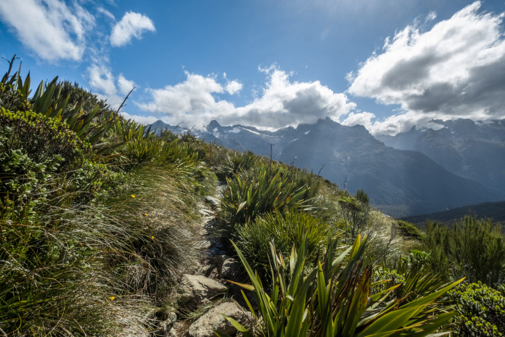 Sun over the Routeburn Trek