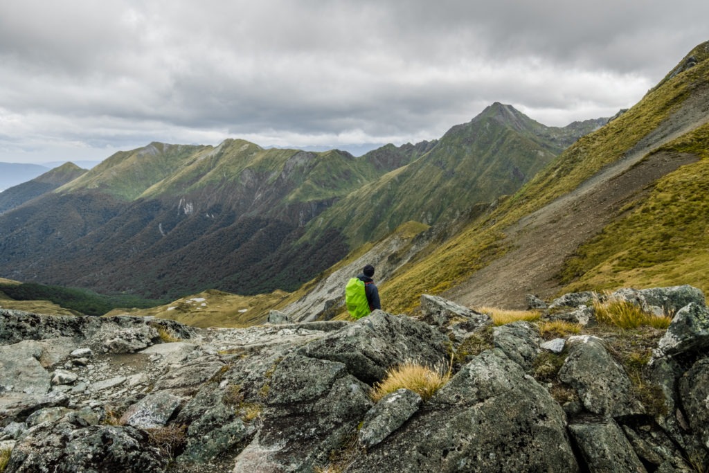 Dennis looking out over the Kepler Mountains