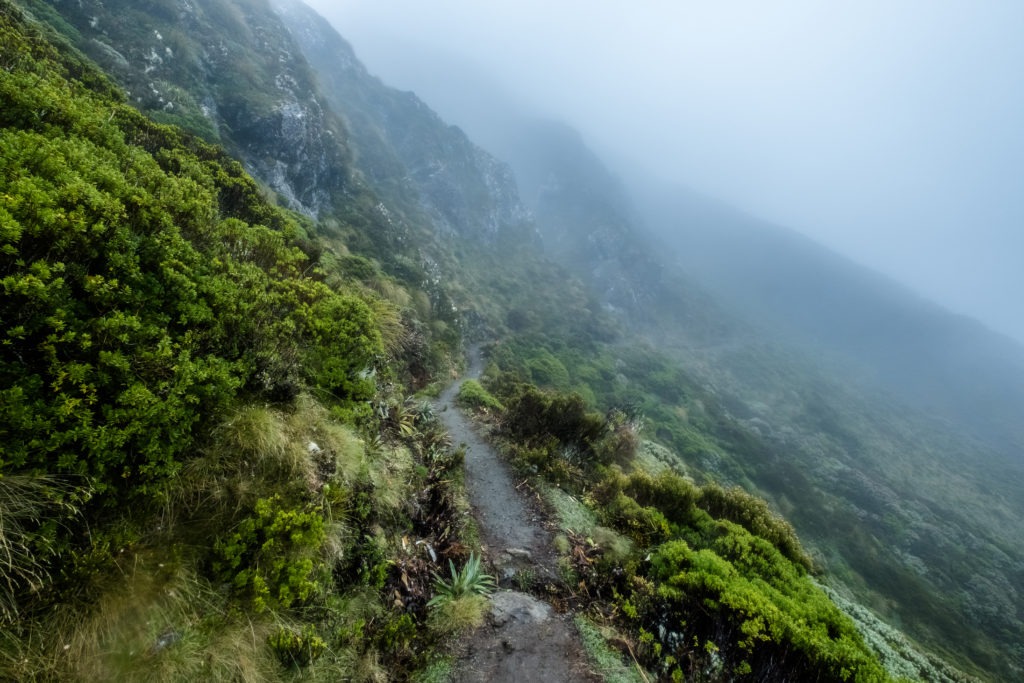 The Kepler Track winding through the mountains in the fog.