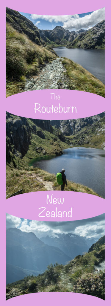 Routeburn Pinterest Poster